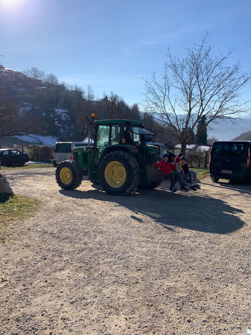 image Giorni di festa a Carnevale per le comunit familiari dell'associazione (3438)